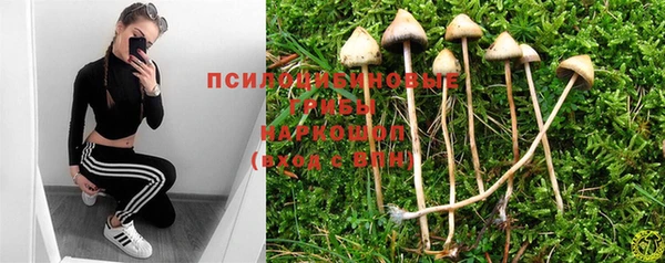 мескалин Аркадак
