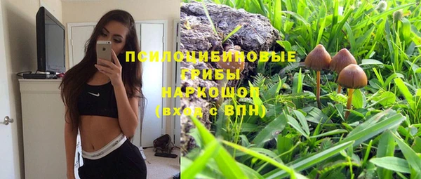 метадон Армянск