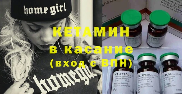 сатива Арсеньев