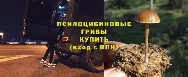 метадон Армянск