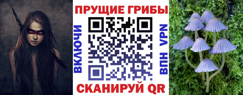 дарнет шоп  Верхнеуральск  Псилоцибиновые грибы Psilocybine cubensis 